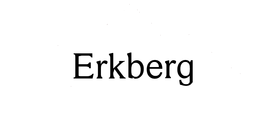 Logo Erkberg Games
